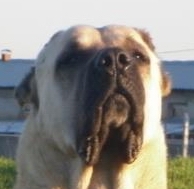 Aksaray Malaklisi photo thumbnail 2