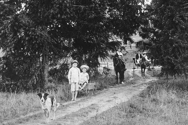 Halls Heeler photo thumbnail 1