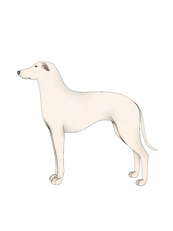Kaikadi - Terrier breed known for being Alert and Energetic
