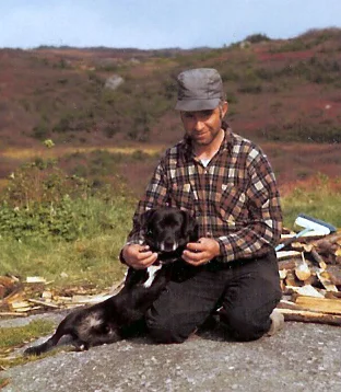 St. John's Water Dog, a 89% match to Landseer