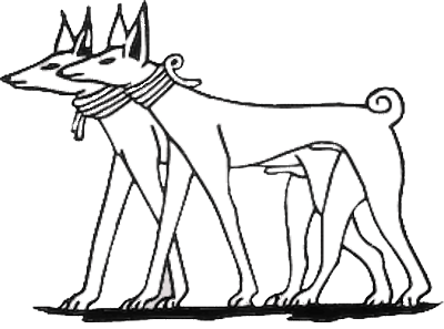 Tesem - Hound breed known for being Affectionate and Alert